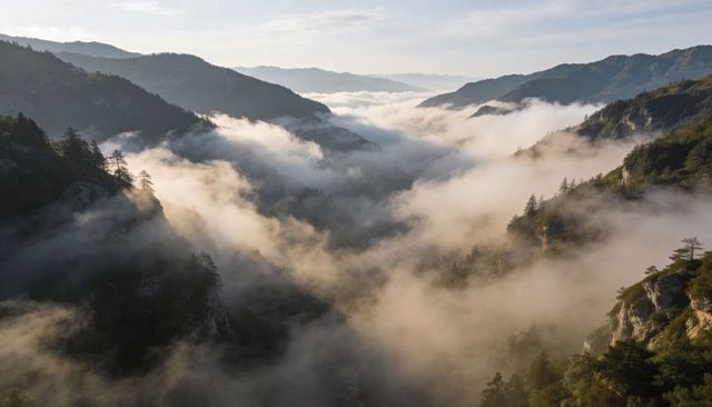 Misty mountain valley filling with morning fog over forested ridges