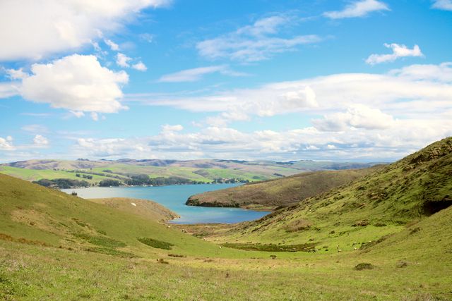 Serene Landscape with Blue Lake and Rolling Green Hills Under Blue Sky with Clouds - Download Free Stock Photos Pikwizard.com