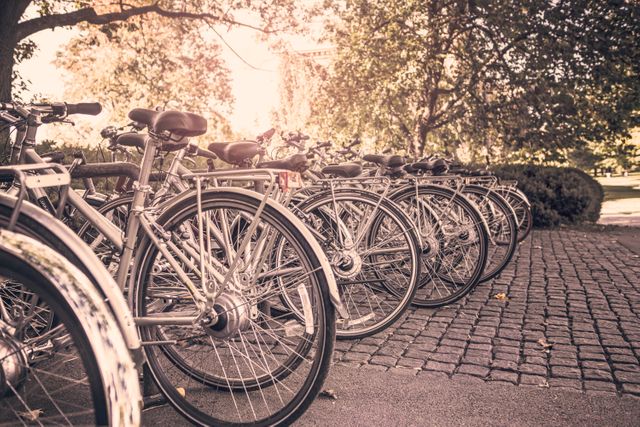 Row of bicycles parked on cobblestone path in park with trees and sunlight. Perfect for concepts of sustainable transportation, urban cycling, outdoor activities, environmental conservation, and eco-friendly living.