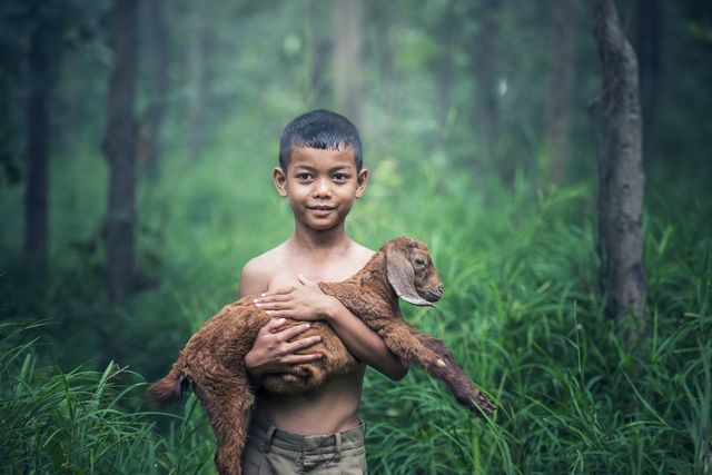 Young boy is holding a baby goat while standing in a misty forest. The setting suggests a rural or countryside environment, highlighting themes of farm life, innocence, and simplicity. Could be used for articles on rural lifestyles, children's involvement in animal care, or nature exploration.