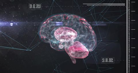 Pulsing 3d wireframe brain hologram with neural network lines, hud dates and scale
