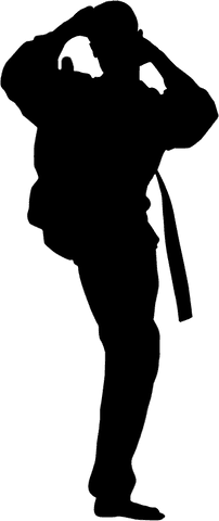 Transparent martial artist silhouette in action pose