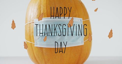 Thanksgiving Pumpkin Wearing Face Mask