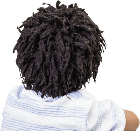 rear view of boy with stylish dreadlocks on transparent background - Download Free Stock Videos Pikwizard.com