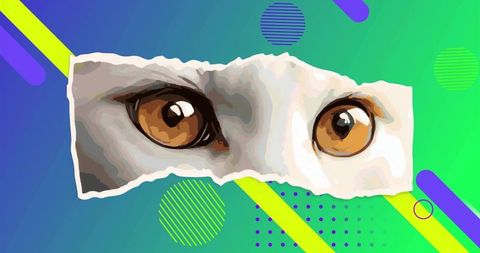 Amber cat eyes peeking through torn paper strip on vibrant neon geometric background