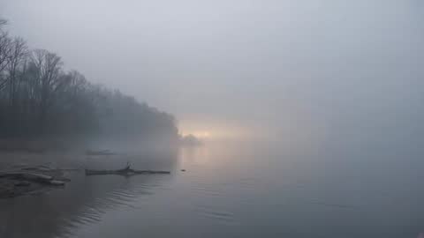 Sunrise glow shrouding foggy river, driftwood-lined shore and calm ripples