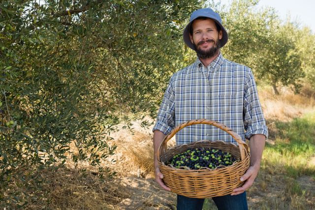 Portrait of smiling farmer holding a basket of olives in farm