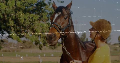 Rider and Bay Horse Bonding in Paddock with Waveform Overlay