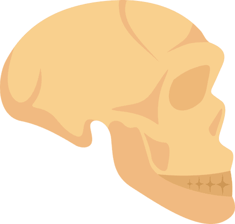 stylized skull side profile illustration with transparent background - Download Free Stock Videos Pikwizard.com