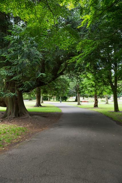 This image depicts a tranquil park pathway surrounded by lush green trees, creating a serene and peaceful atmosphere. Ideal for use in projects related to nature, outdoor activities, relaxation, and environmental conservation. Perfect for websites, brochures, and advertisements promoting parks, wellness, and outdoor recreation.