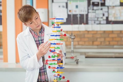 Young student adjusting dna double-helix model in science lab