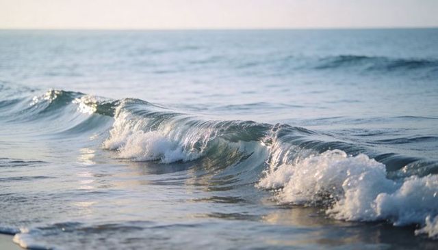 Gentle ocean wave rolling toward shoreline with sparkling foam and sunlight reflections