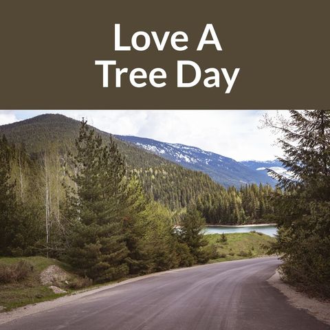 Love A Tree Day - Serene Natural Landscape with Forest and Lake - Download Free Stock Templates Pikwizard.com