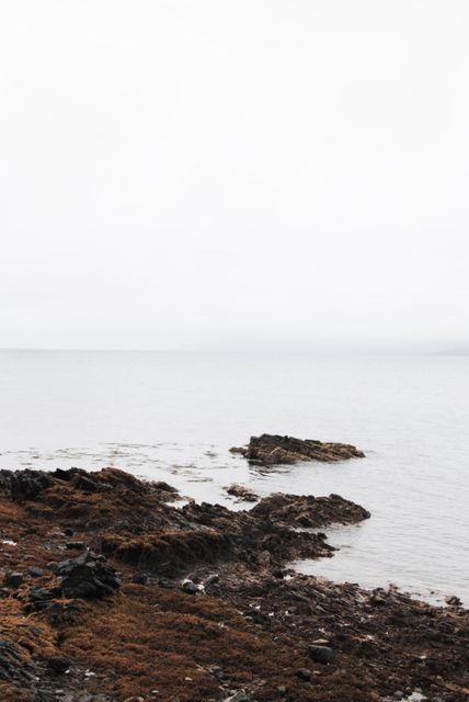 Rocky Shoreline on Overcast Day with Calm Sea - Download Free Stock Images Pikwizard.com