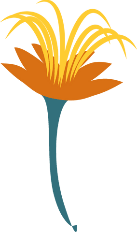 Minimalist transparent flower with orange and yellow petals