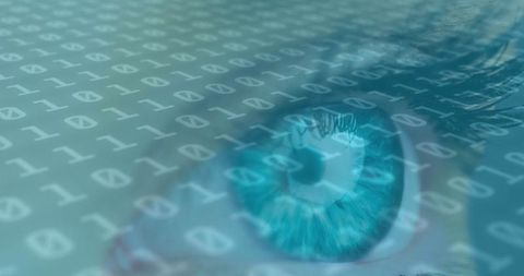 Digital Vision Globe Overlay with Binary Code - Download Free Stock Images Pikwizard.com