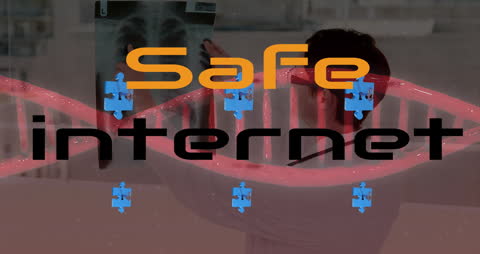 Conceptual Animation Highlighting Safe Internet Practices