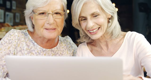 Senior Women Using Laptop, Learning Technology Together at Cafeteria - Download Free Stock Images Pikwizard.com