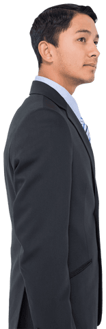 transparent profile of professional biracial businessman - Download Free Stock Videos Pikwizard.com