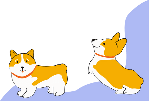 Whimsical corgis in pastel mode transparent background