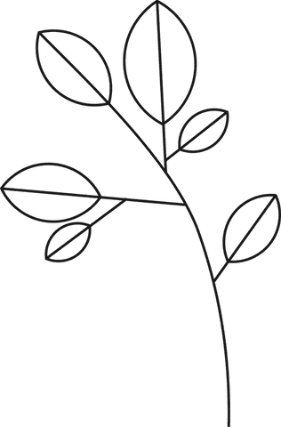 transparent botanical line art illustration with elliptical leaves - Download Free Stock Videos Pikwizard.com