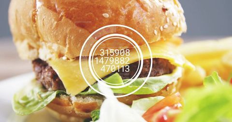 Closeup melting cheddar cheeseburger with lettuce, fries and fresh salad hud overlay