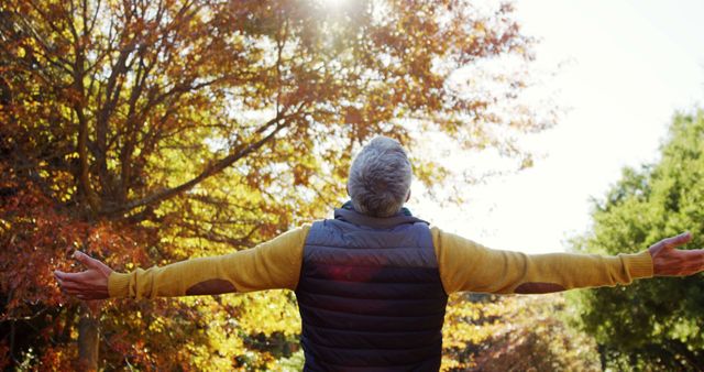 Senior Man Embracing Autumn Sunshine in Nature - Download Free Stock Images Pikwizard.com