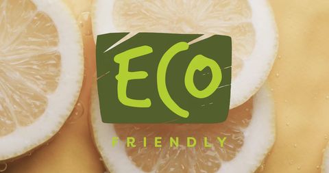 Eco-Friendly Concept with Fresh Lemons and Organic Inspiration