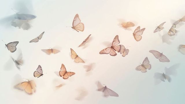 Floating pastel butterflies drifting on soft gradient background with translucent wings