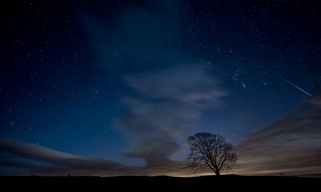A solitary tree creates a striking silhouette against a stunning night sky filled with stars and a visible shooting star. This serene and peaceful scene can be ideal for nature and astronomy-themed decorations, educational materials about the night sky, or inspiration for tranquility and reflection. The celestial spectacle makes it perfect for promoting night sky tourism and related activities.