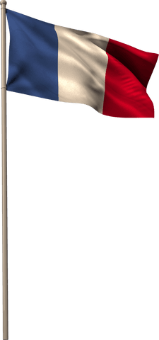 french flag waving on a transparent background - Download Free Stock Videos Pikwizard.com