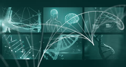 Futuristic Biotechnology Concept with DNA and Brain Connections