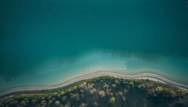 Aerial curve of turquoise coastline tracing pebble beach and forested shorelines