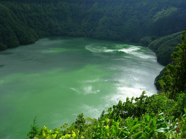 Serene Emerald Waters of a Volcanic Crater Lake Surrounded by Lush Green Forest - Download Free Stock Photos Pikwizard.com
