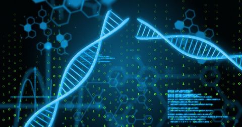 Digital DNA Strand with Cyber Technology Interface - Download Free Stock Images Pikwizard.com