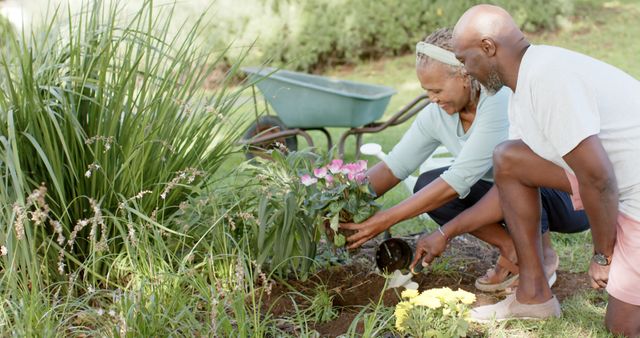 Happy senior african american couple planting flowers in sunny garden, copy space. Retirement, togetherness, gardening, hobbies, healthy living, nature and senior lifestyle, unaltered.