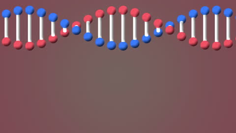3D Animation of DNA Strand Rotating with Copy Space