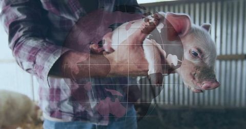 Farmer Cradling Piglet in Barn Environment
