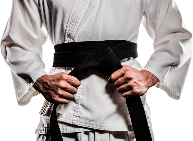 Martial Artist Tightening Black Belt in Transparent Background - Download Free Stock Videos Pikwizard.com