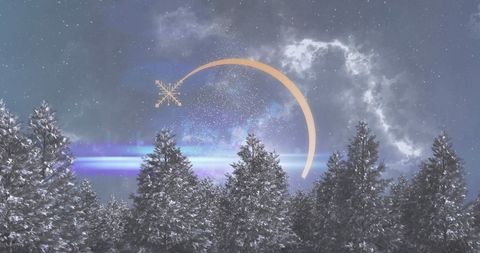 Snowflake and Crescent Moon Over Winter Night Forest
