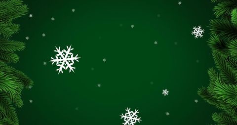 Snowflakes and Evergreen Branches on Green Background Christmas Design