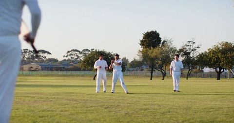 Sunlit suburban cricket fielders in white uniforms catching ball on green outfield