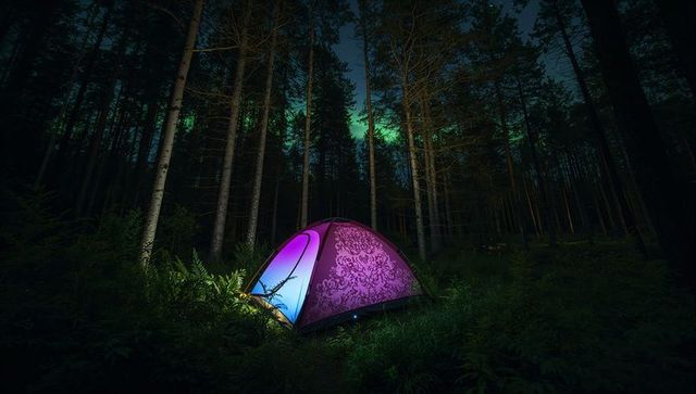 Glowing Patterned Dome Tent in Night Pine Forest with Northern Lights and LED Magenta Glow