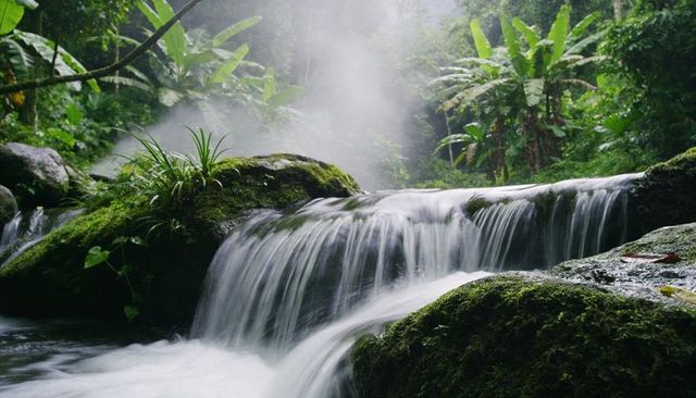 Cascading water over mossy boulders in lush tropical rainforest creating ethereal mist