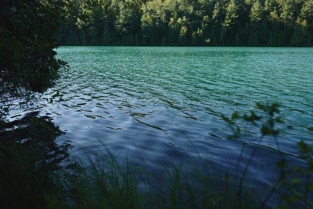 Ideal image for projects invoking calmness and peace. Suitable for travel blogs, nature magazines, environmental websites, or meditation content. The undisturbed body of water and dense forest background are ideal for highlighting tranquility and natural beauty.