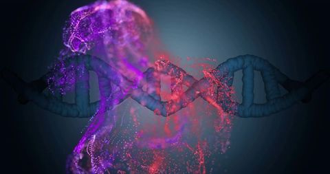 Transforming dna helix dissolving into human particle silhouette with bioluminescent glow