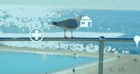 Seagull perching on stainless railing overlooking sunlit ocean with hud overlay bokeh