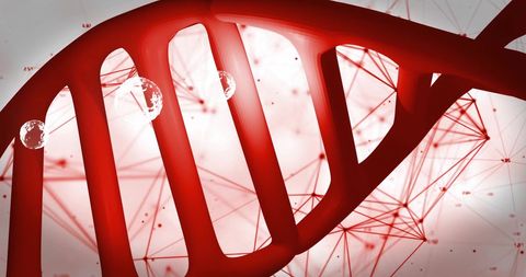 Abstract red dna strand with data network connections