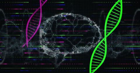 Futuristic Brain and DNA Interface with Digital Data Overlay