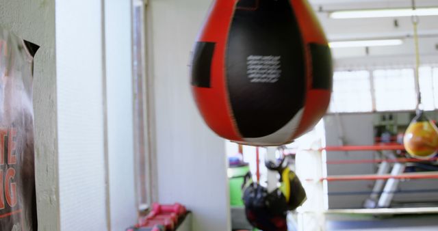 Boxing Gym with Speed Bag in Action in Training Area - Download Free Stock Images Pikwizard.com